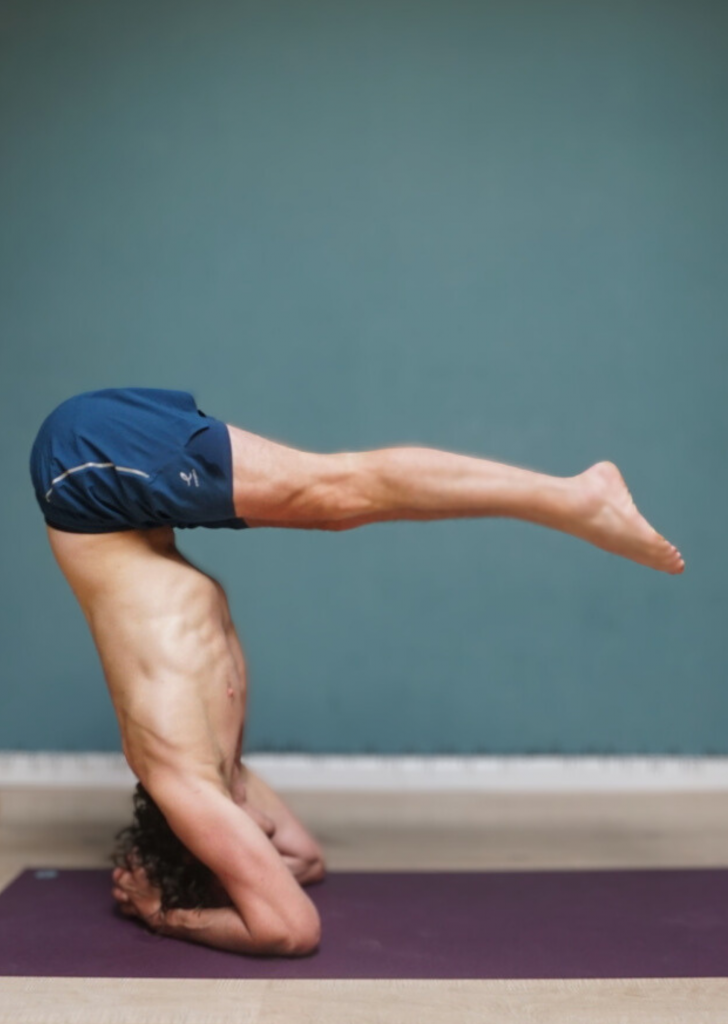 Ashtanga Vinyasa Yoga Teacher Training