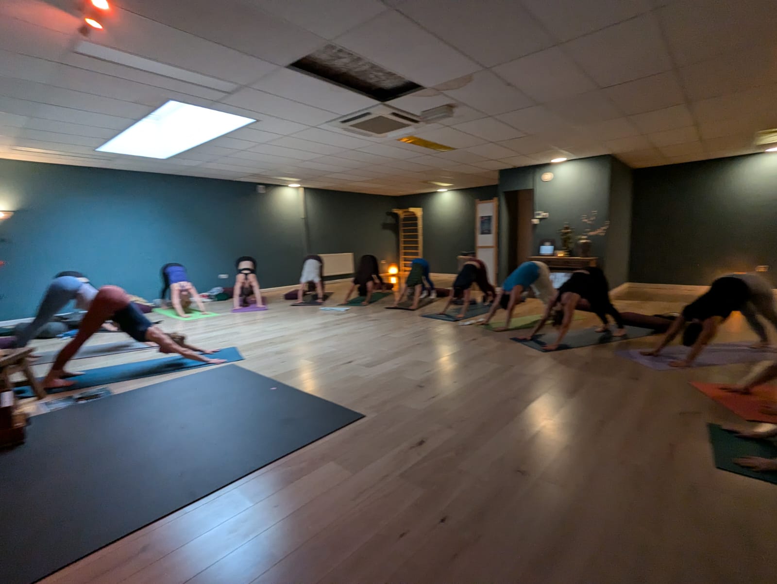 Yogapoint Nijmegen - International Yoga Day