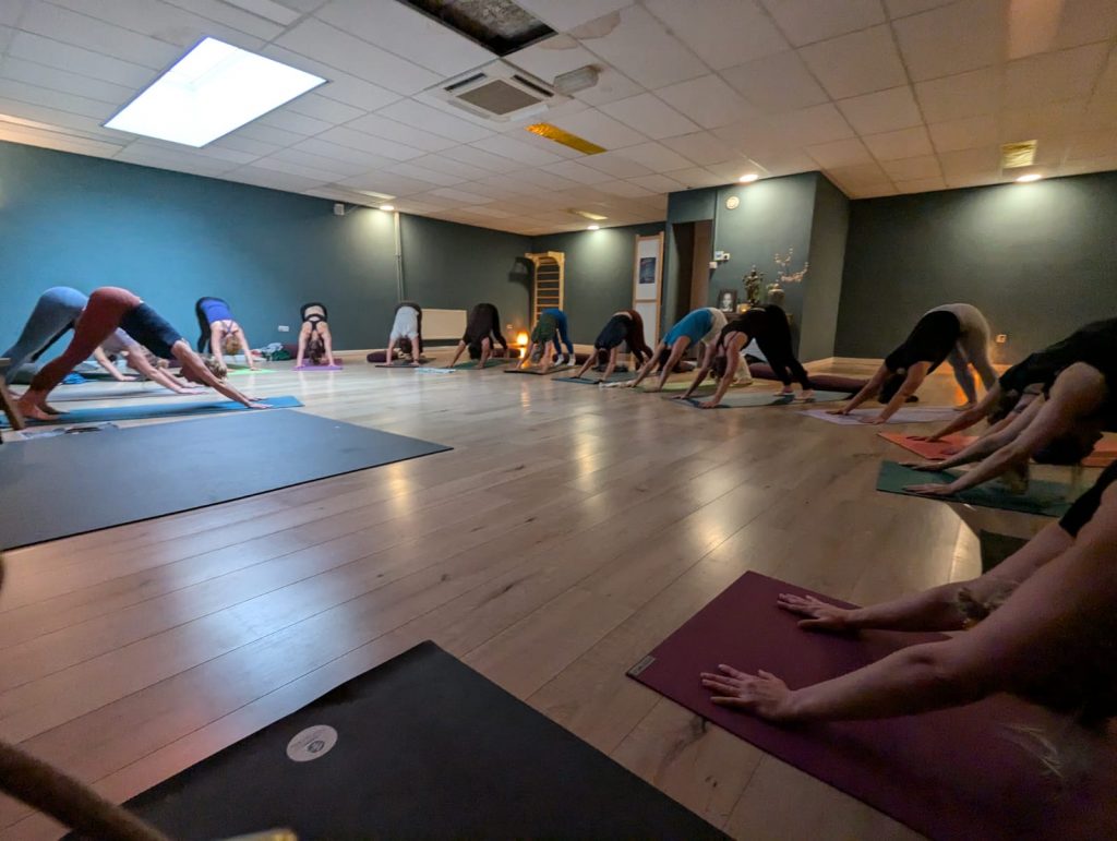 Yogapoint Nijmegen - International Yoga Day