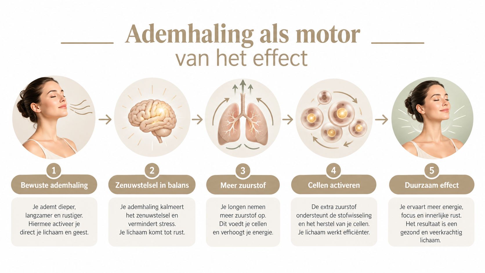 Een infographic die toont hoe bewuste ademhaling leidt naar meer energie, focus en een veerkrachtig lichaam.