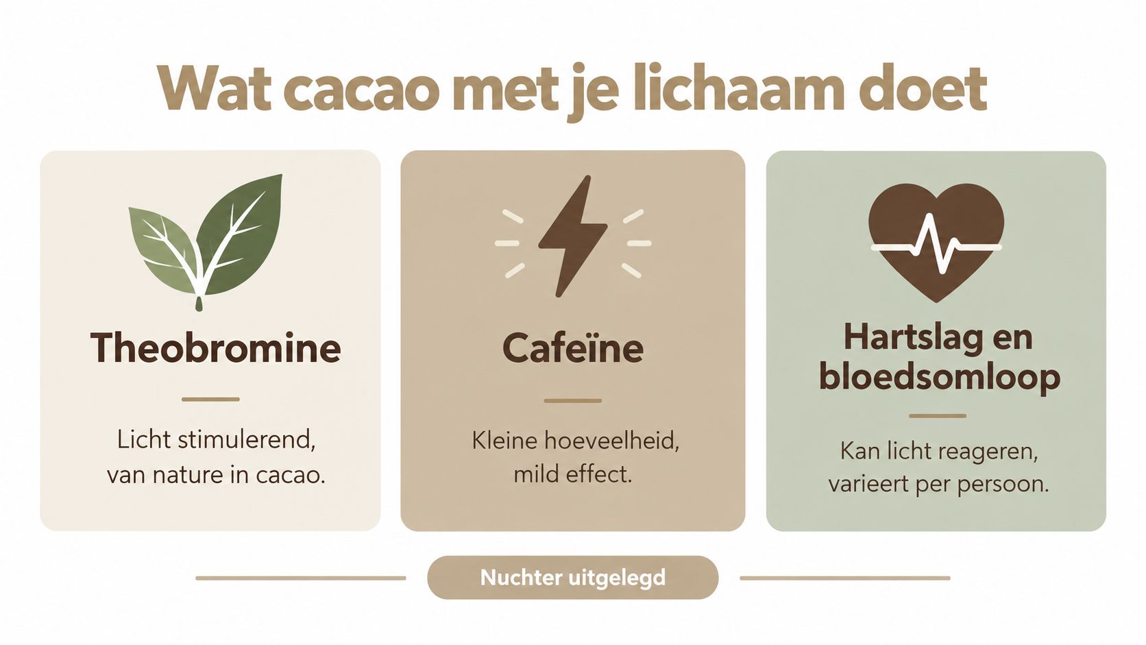 Een infographic die de effecten van cacao op het lichaam uitlegt, inclusief theobromine, cafeïne en hartslag.
